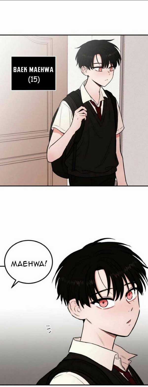 Bươm Bướm Và Máu - Chapter 1 - Trang 5