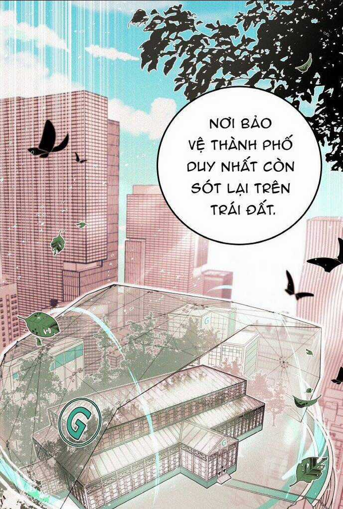 Bươm Bướm Và Máu - Chapter 3 - Trang 74