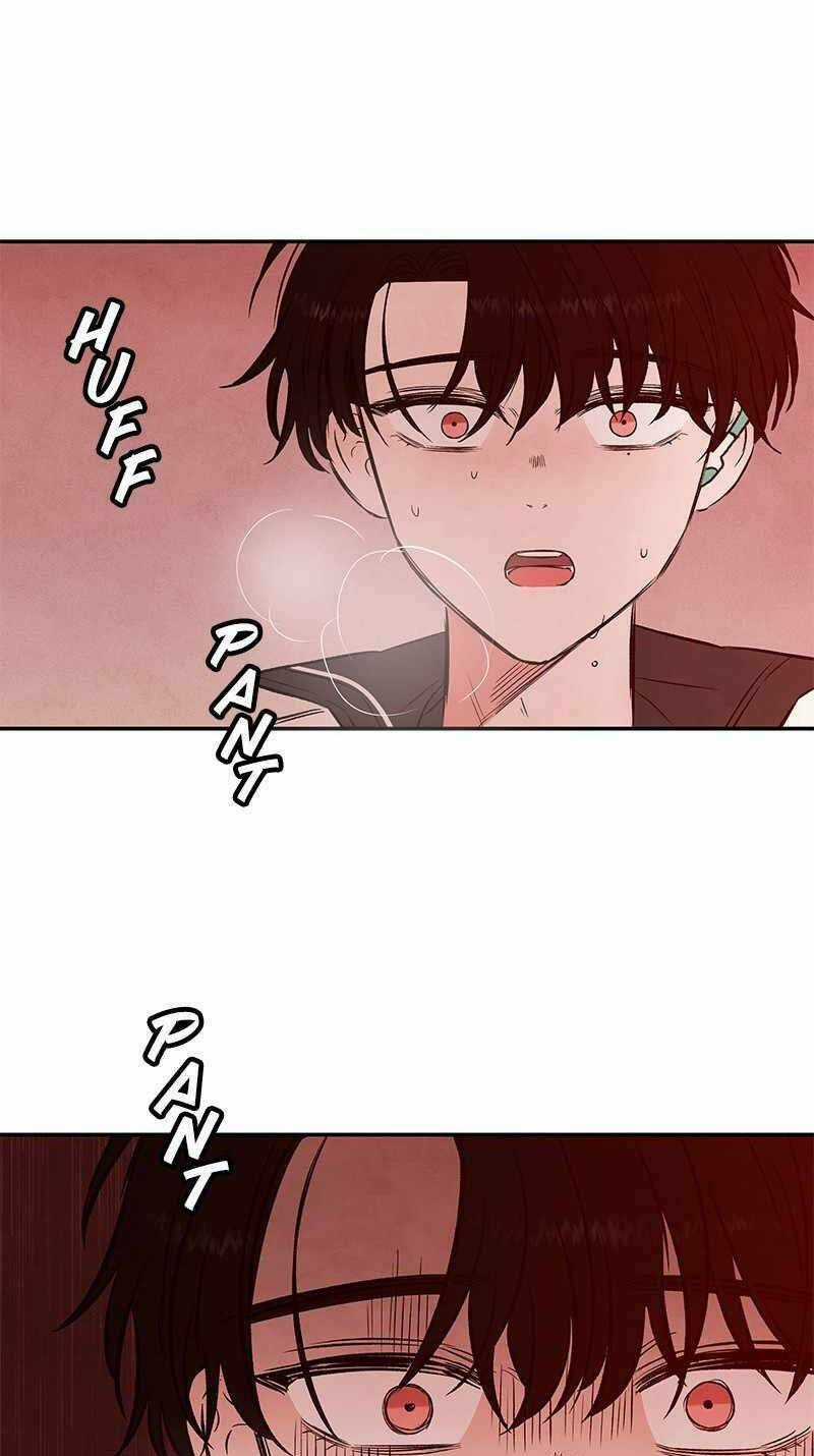 Bươm Bướm Và Máu - Chapter 30 - Trang 97