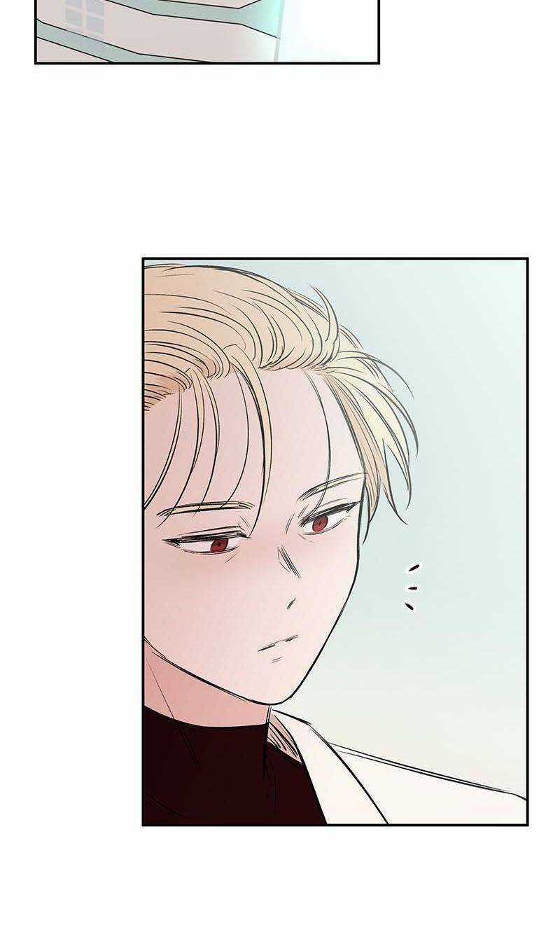 Bươm Bướm Và Máu - Chapter 34 - Trang 5