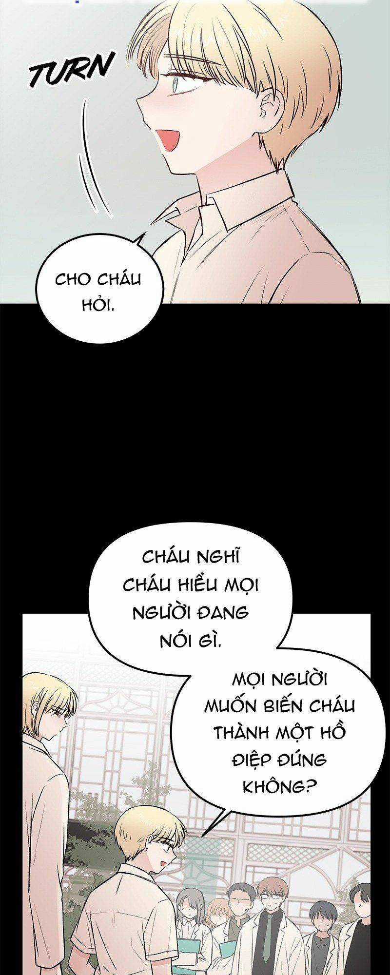 Bươm Bướm Và Máu - Chapter 37 - Trang 22