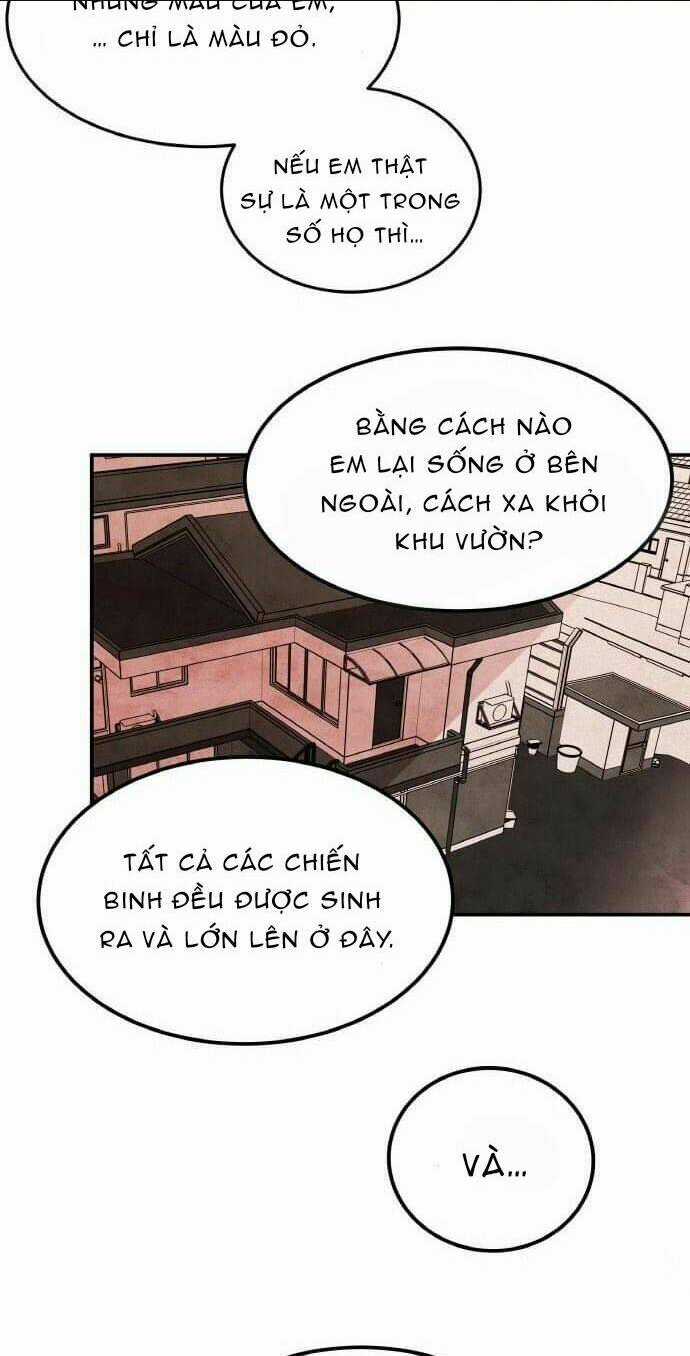 Bươm Bướm Và Máu - Chapter 4 - Trang 15