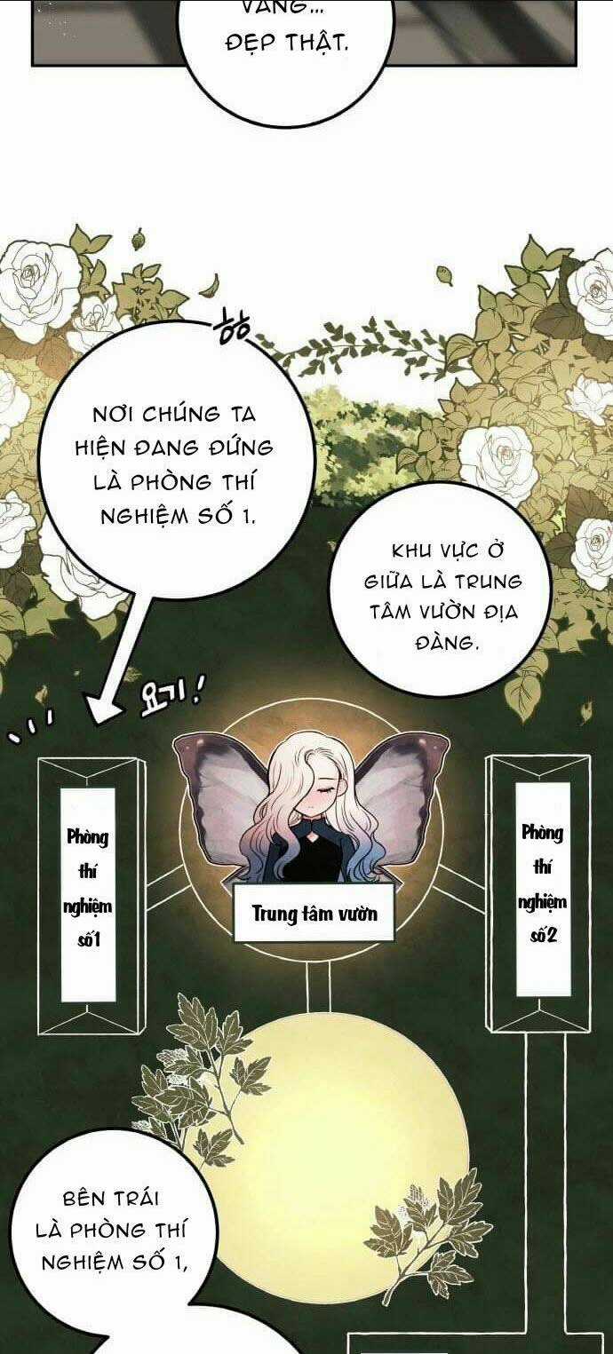 Bươm Bướm Và Máu - Chapter 4 - Trang 5