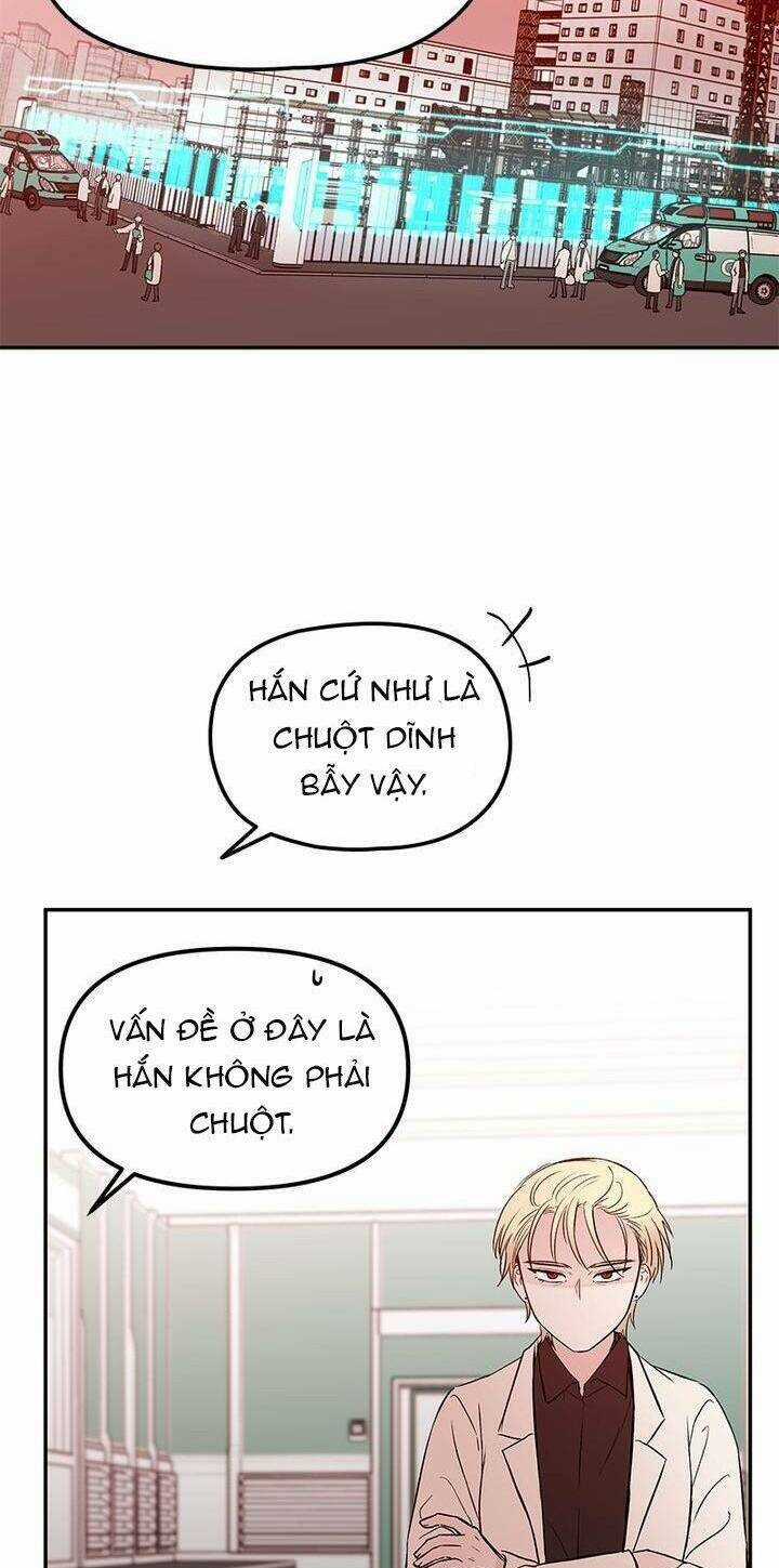 Bươm Bướm Và Máu - Chapter 43 - Trang 48