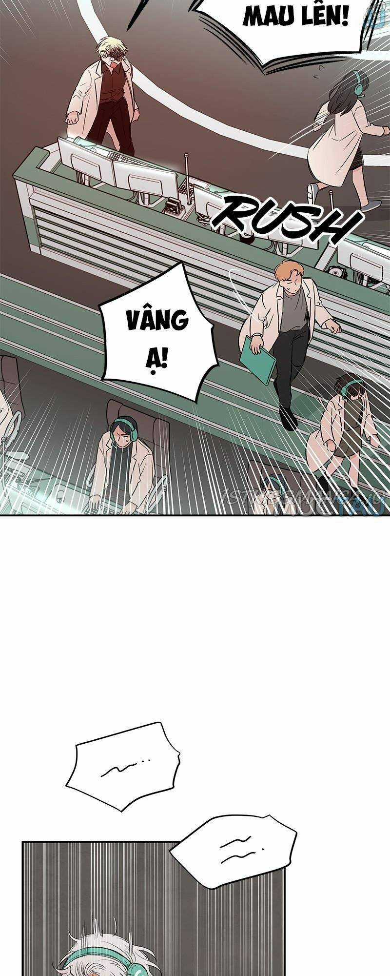 Bươm Bướm Và Máu - Chapter 46 - Trang 15