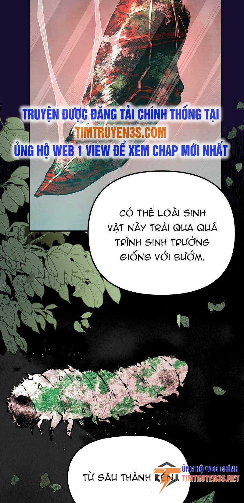 Bươm Bướm Và Máu - Chapter 55 - Trang 32