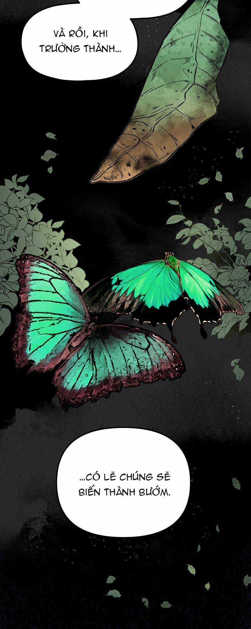 Bươm Bướm Và Máu - Chapter 55 - Trang 33