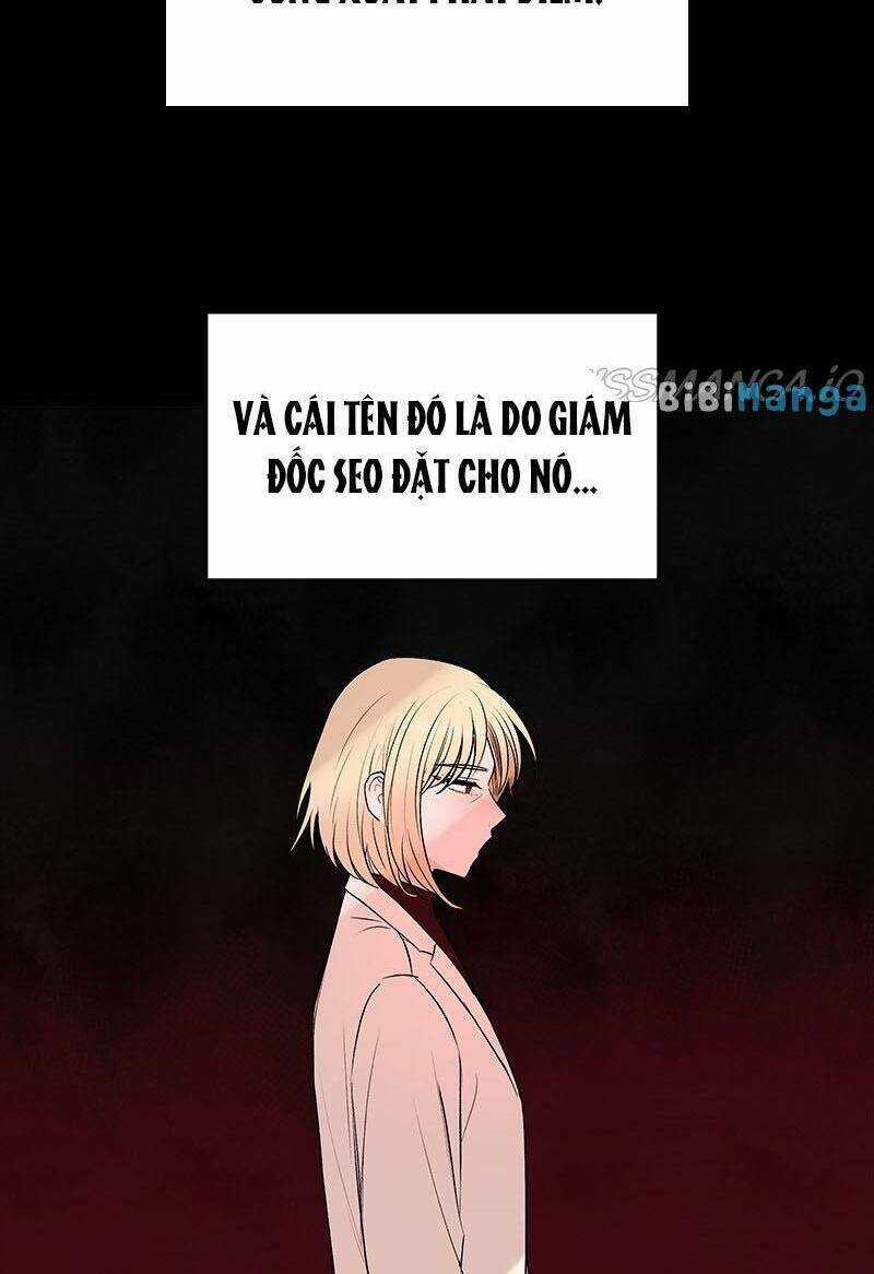 Bươm Bướm Và Máu - Chapter 56 - Trang 17