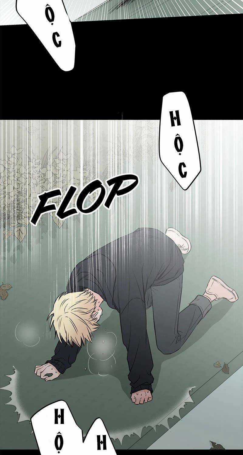 Bươm Bướm Và Máu - Chapter 56 - Trang 59