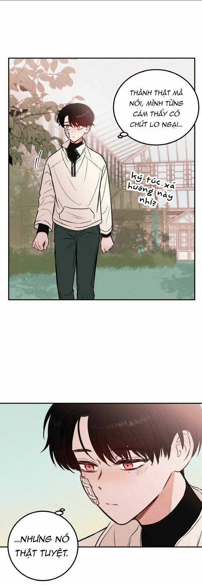 Bươm Bướm Và Máu - Chapter 6 - Trang 30