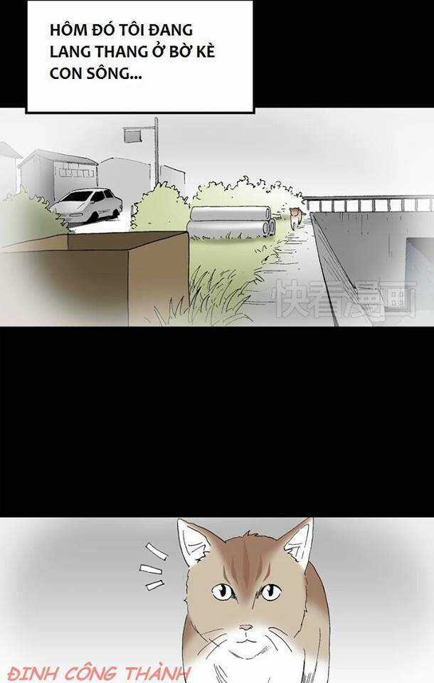 Bút Tiên - Chapter 10 - Trang 5