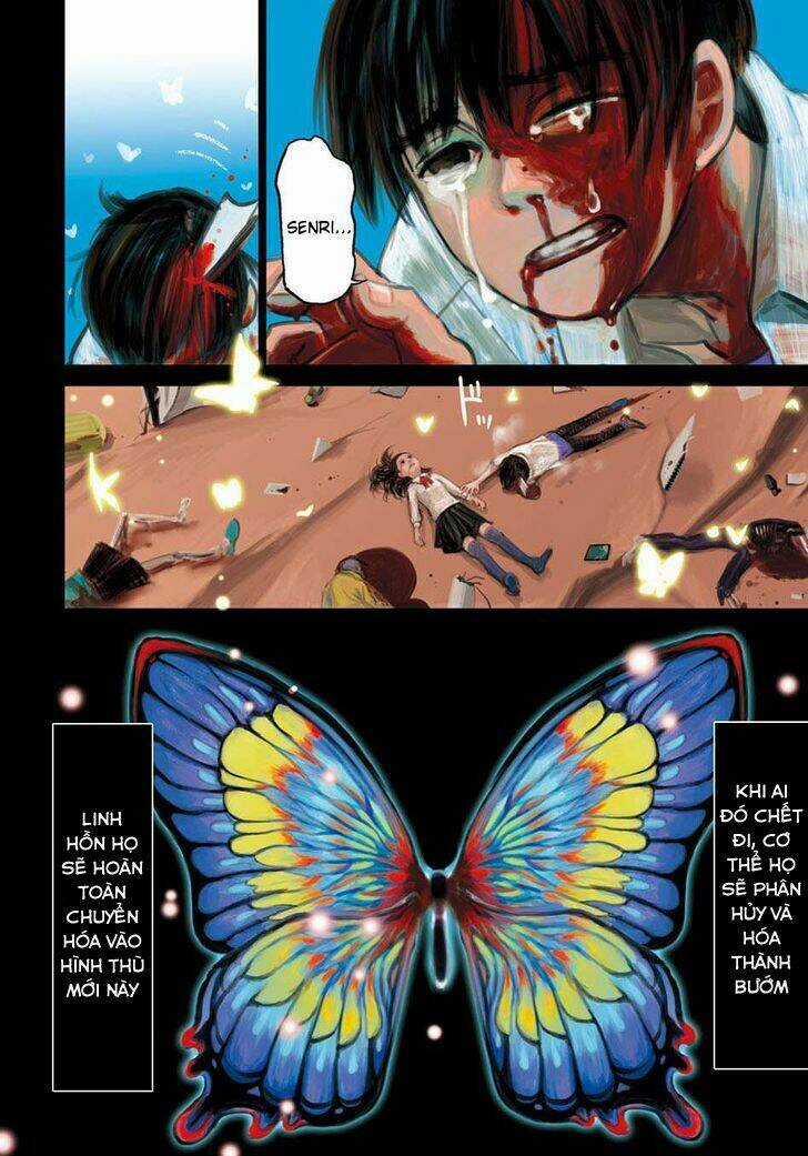 Butterfly Storage - Chapter 1 - Trang 5
