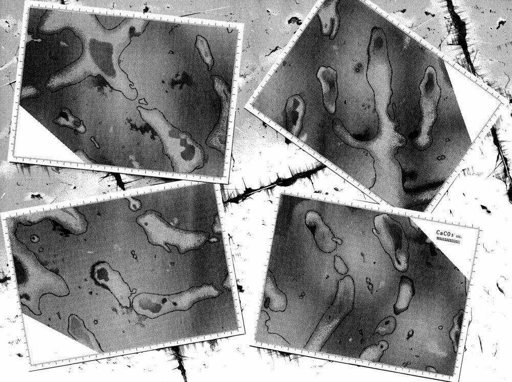 C.m.b. - Chapter 7.3 - Trang 31