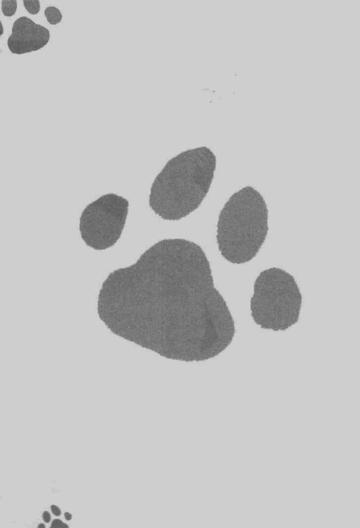 Cafe Kichijoji - Chapter 5 - Trang 34