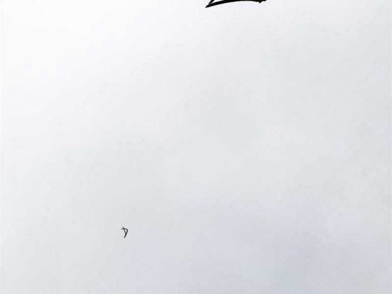 Cái Bóng Vạn Năng - Chapter 156 - Trang 94