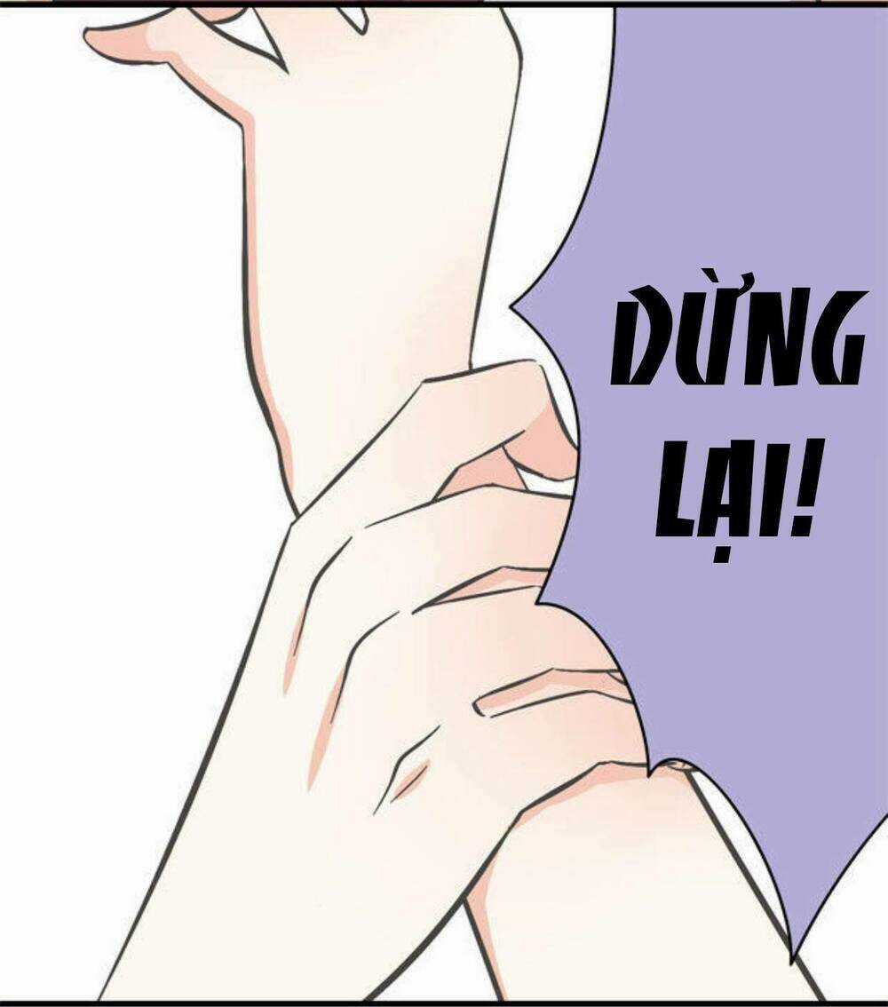 Cái Gì! Cái Gì! - Chân Du - Chapter 2 - Trang 24