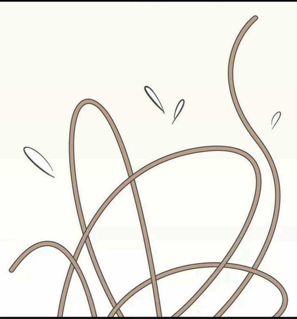 Cái Gì! Cái Gì! - Chân Du - Chapter 3 - Trang 11