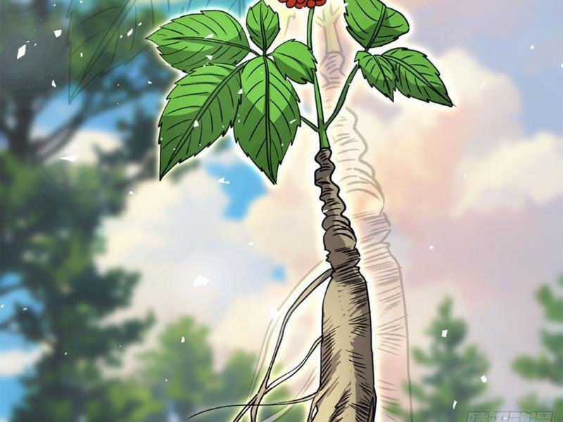 Cái Thế Thần Y - Chapter 19 - Trang 19