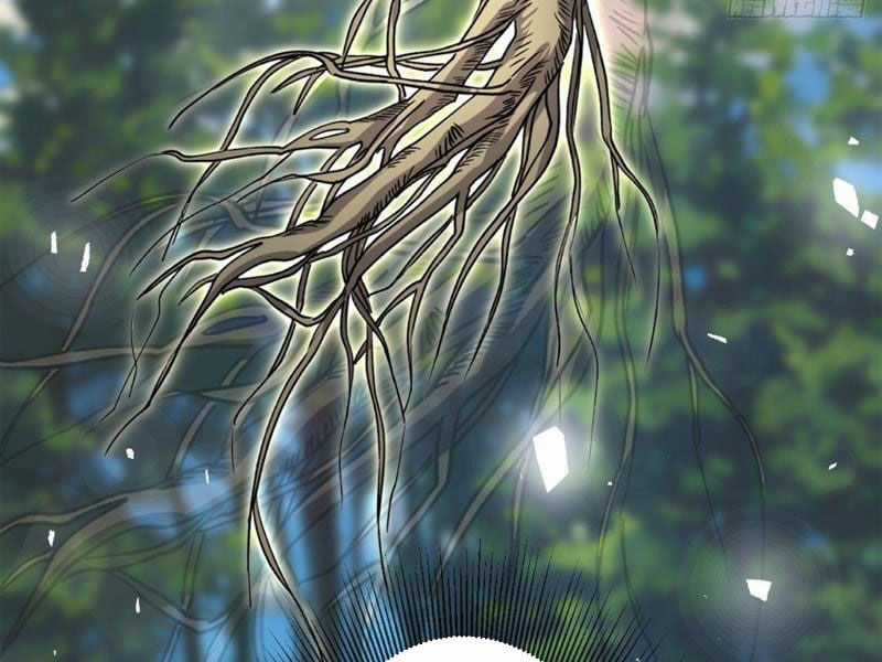 Cái Thế Thần Y - Chapter 19 - Trang 20