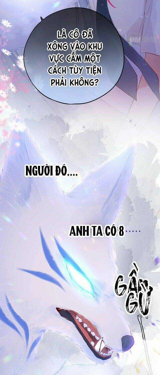 Cạm Bẫy Của Hồ Ly - Chapter 1 - Trang 6