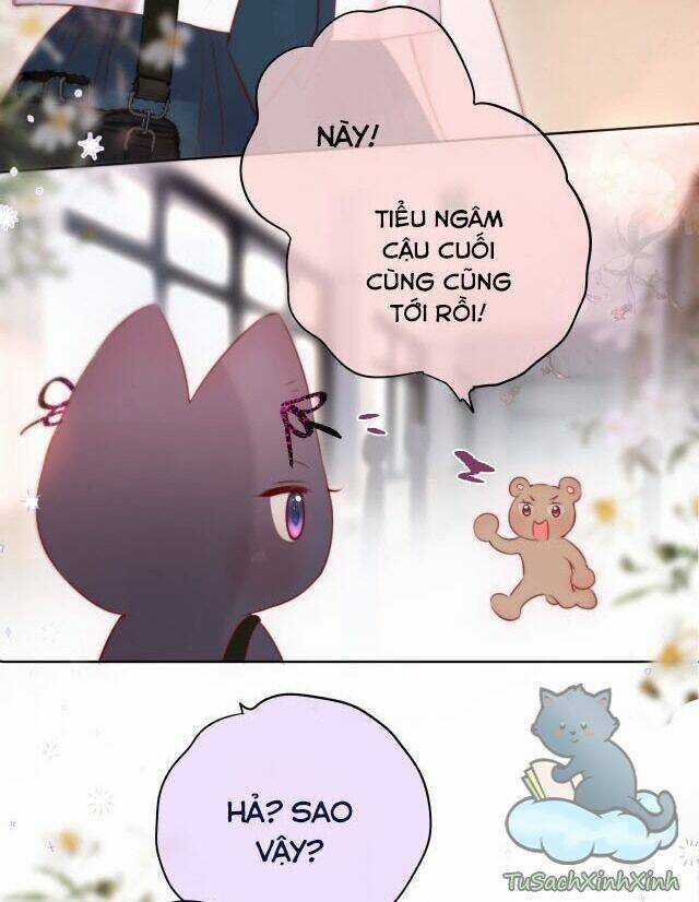 Cạm Bẫy Của Hồ Ly - Chapter 13 - Trang 17