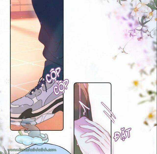 Cạm Bẫy Của Hồ Ly - Chapter 18 - Trang 22