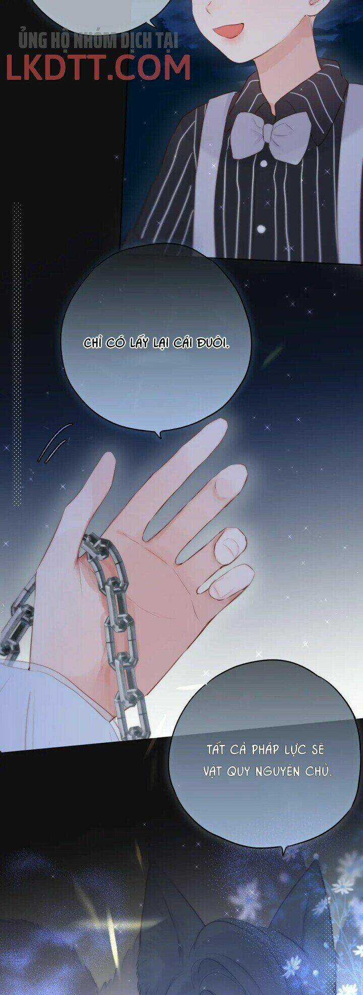 Cạm Bẫy Của Hồ Ly - Chapter 2 - Trang 19