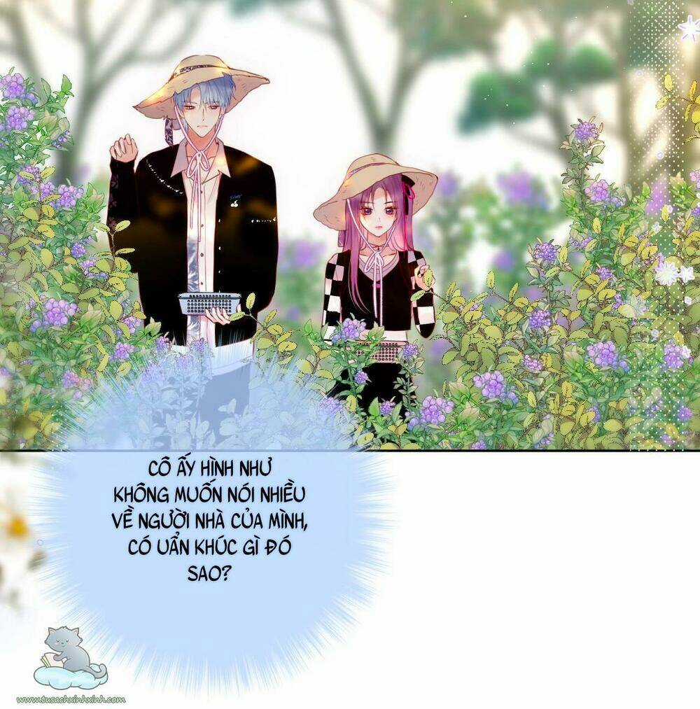 Cạm Bẫy Của Hồ Ly - Chapter 23 - Trang 23