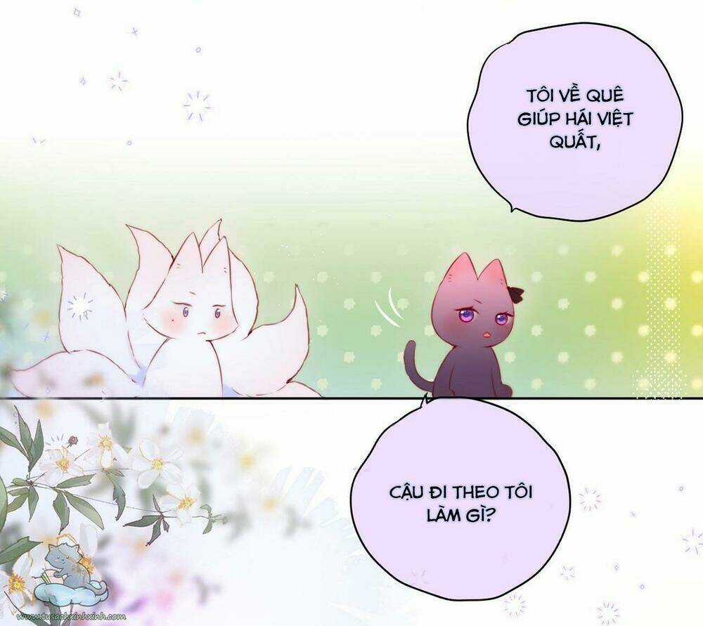 Cạm Bẫy Của Hồ Ly - Chapter 23 - Trang 8