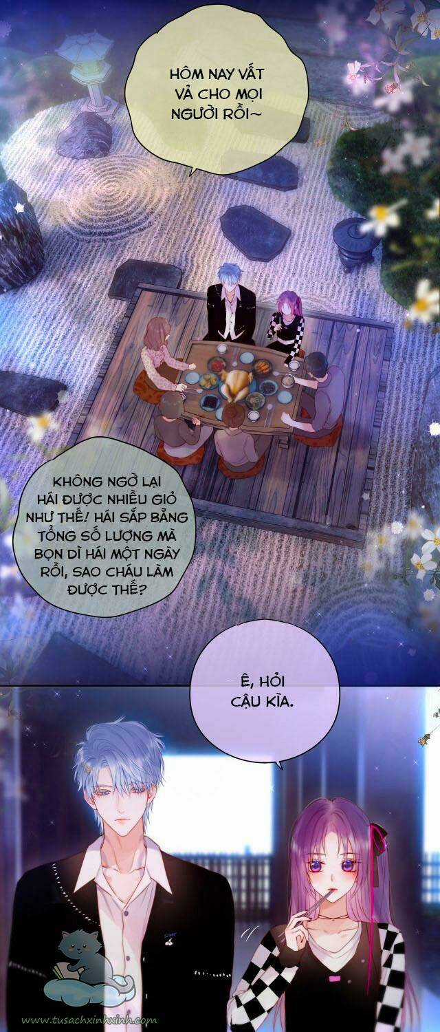 Cạm Bẫy Của Hồ Ly - Chapter 24 - Trang 3