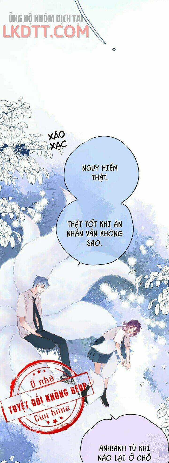 Cạm Bẫy Của Hồ Ly - Chapter 3 - Trang 21