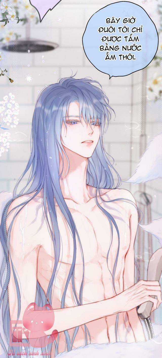 Cạm Bẫy Của Hồ Ly - Chapter 35 - Trang 45