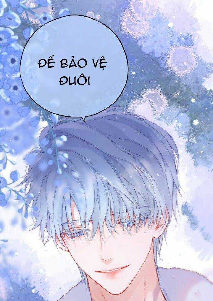 Cạm Bẫy Của Hồ Ly - Chapter 36 - Trang 24