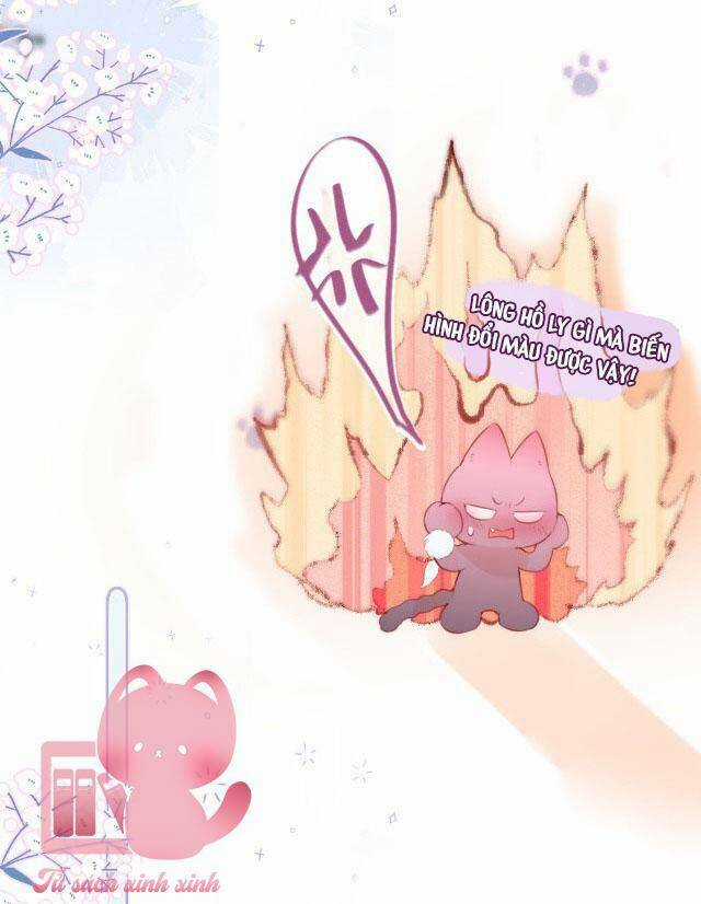 Cạm Bẫy Của Hồ Ly - Chapter 37 - Trang 29