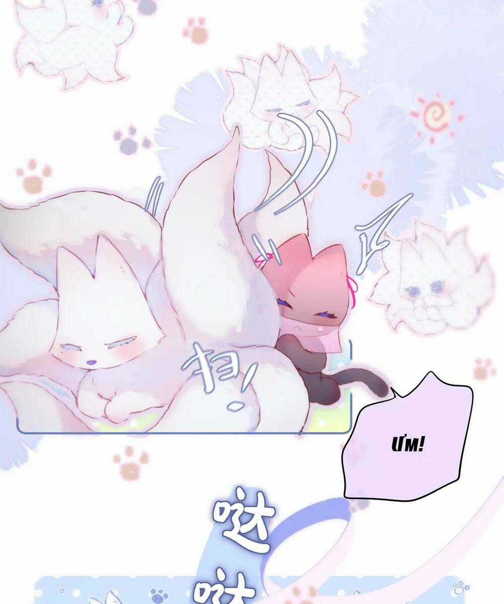 Cạm Bẫy Của Hồ Ly - Chapter 49 - Trang 45