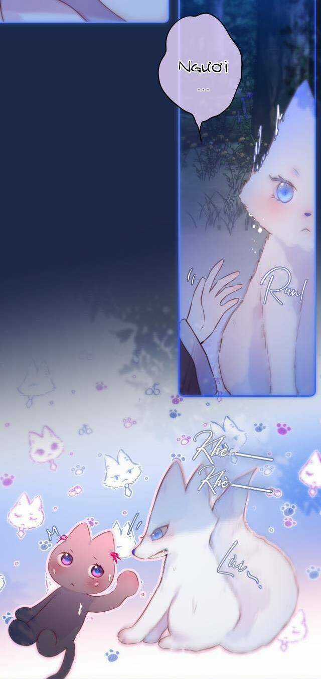 Cạm Bẫy Của Hồ Ly - Chapter 50 - Trang 24