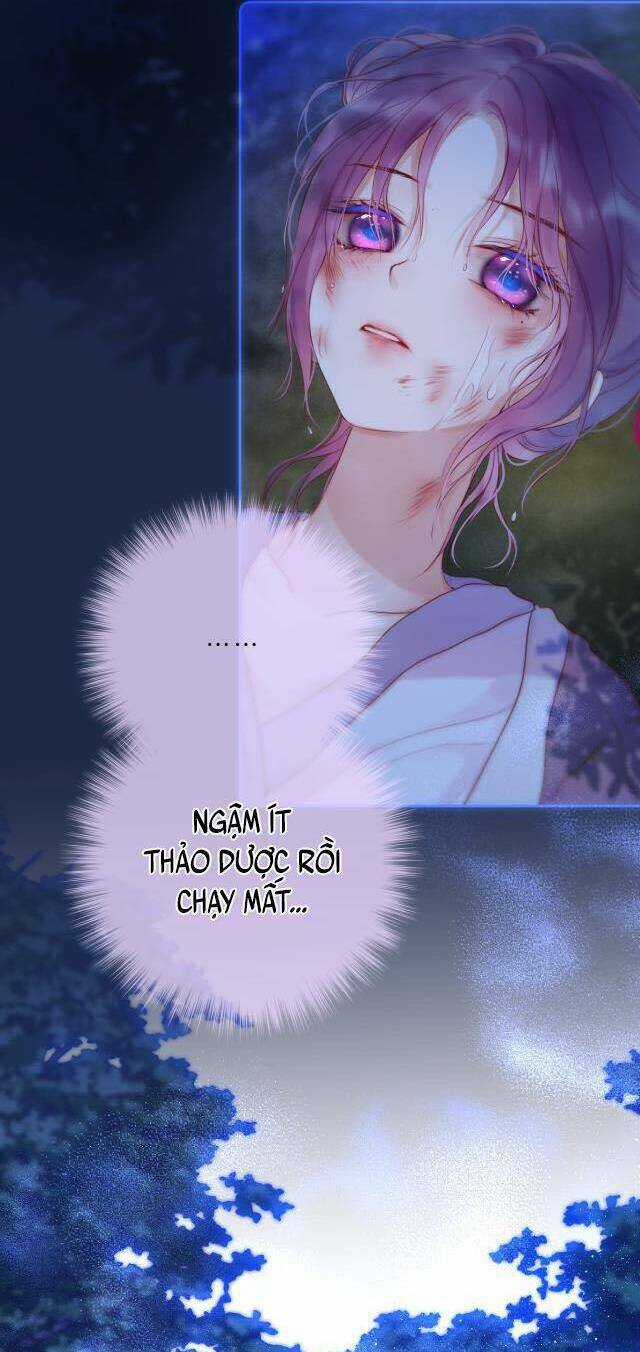 Cạm Bẫy Của Hồ Ly - Chapter 50 - Trang 26