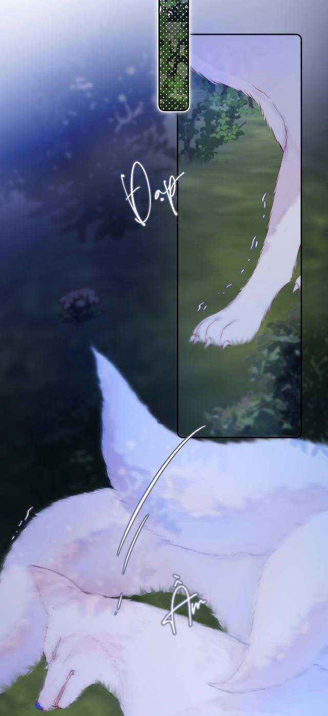 Cạm Bẫy Của Hồ Ly - Chapter 50 - Trang 4