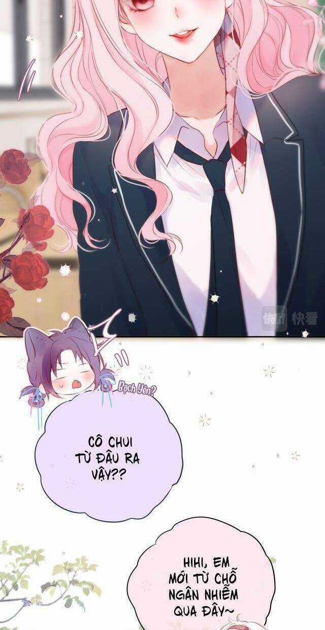 Cạm Bẫy Của Hồ Ly - Chapter 55 - Trang 17
