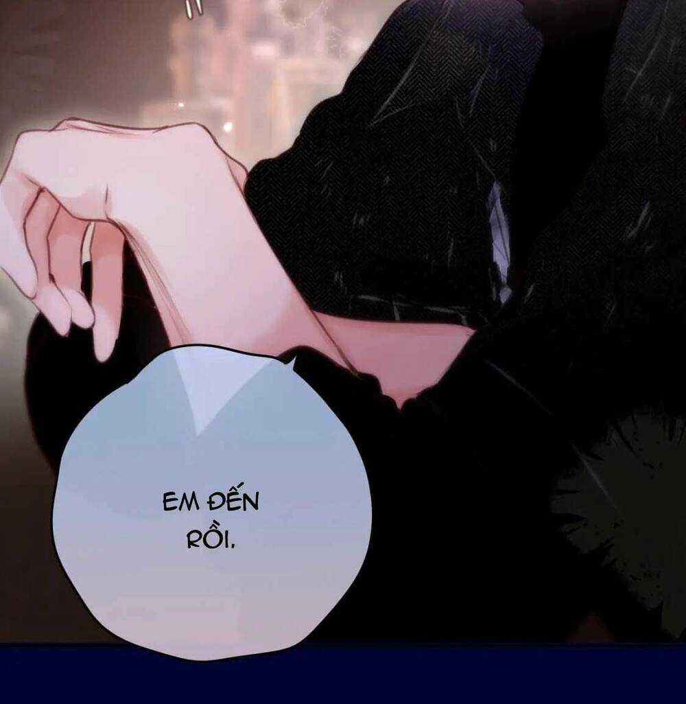 Cạm Bẫy Của Hồ Ly - Chapter 65 - Trang 23