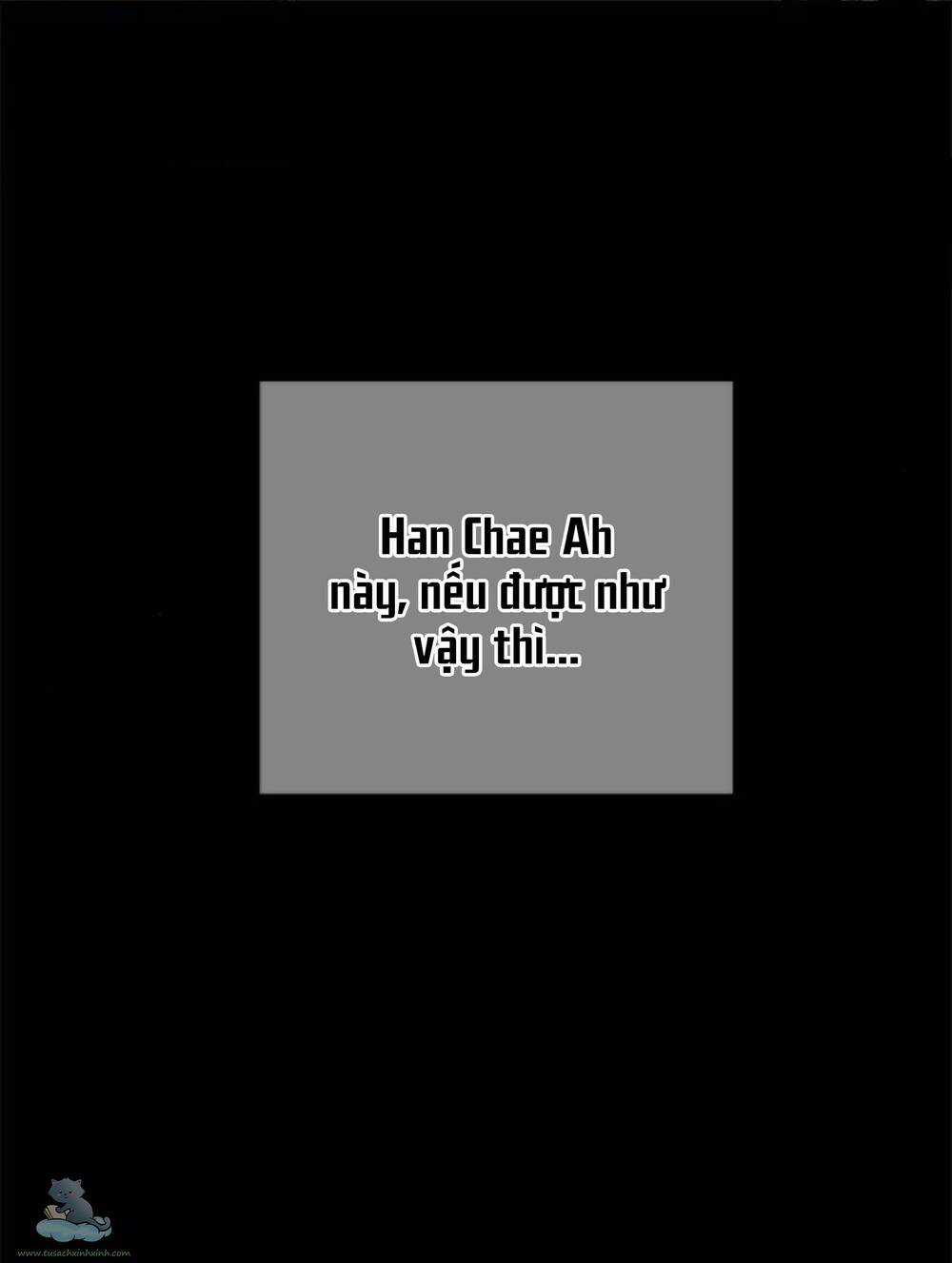 Cạm Bẫy - Chapter 126 - Trang 51