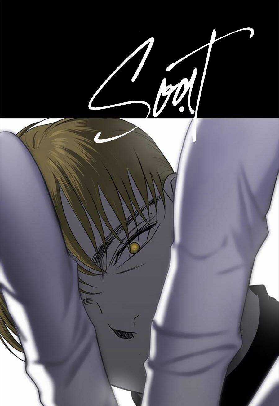 Cạm Bẫy - Chapter 135 - Trang 75