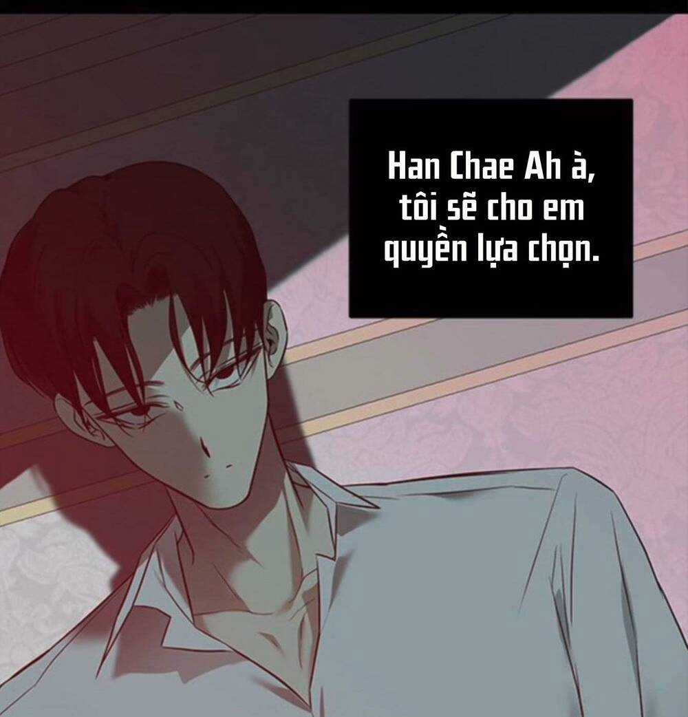 Cạm Bẫy - Chapter 142 - Trang 101