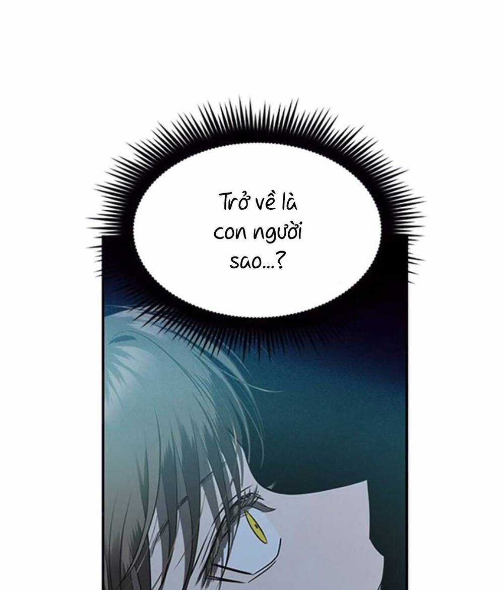 Cạm Bẫy - Chapter 147 - Trang 74