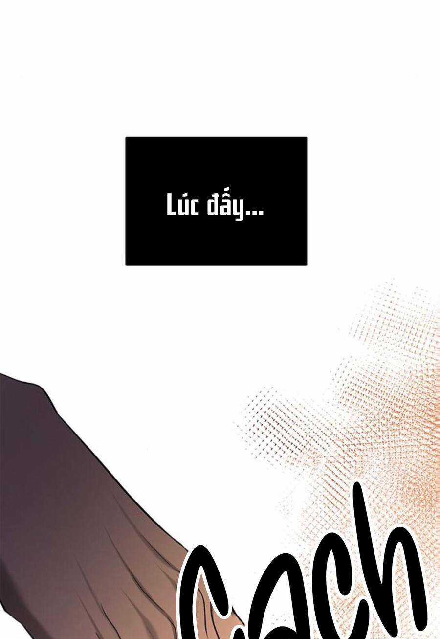 Cạm Bẫy - Chapter 161 - Trang 15