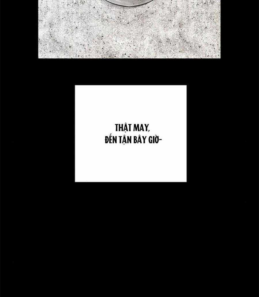 Cạm Bẫy - Chapter 168.1 - Trang 71