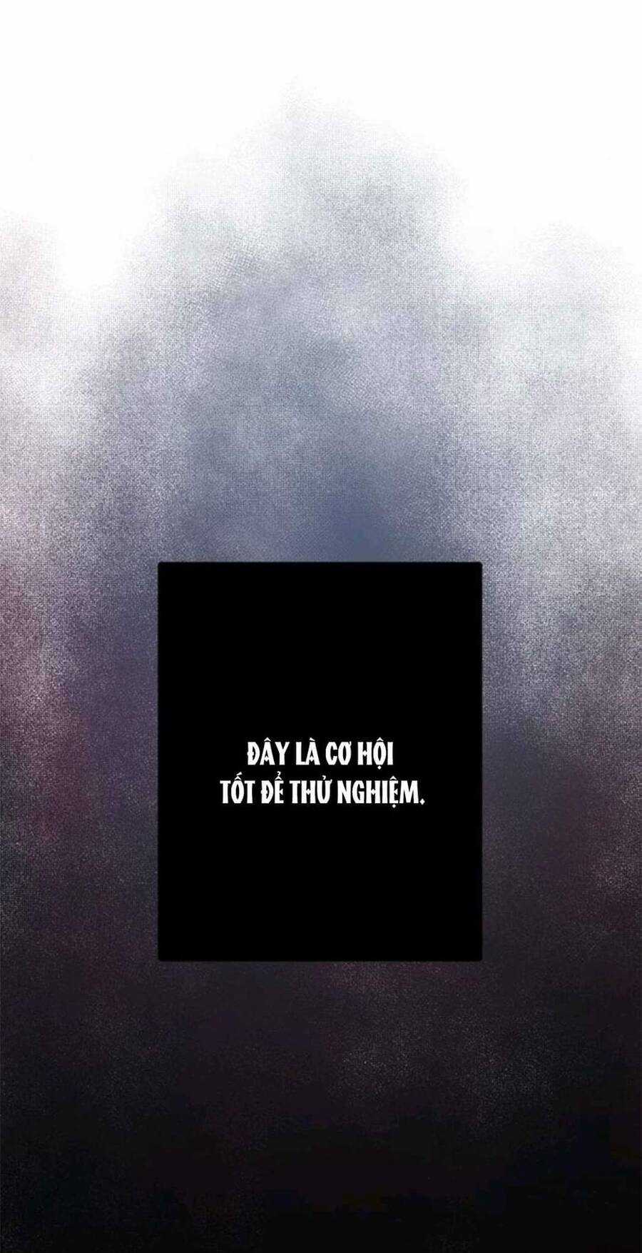 Cạm Bẫy - Chapter 169 - Trang 23