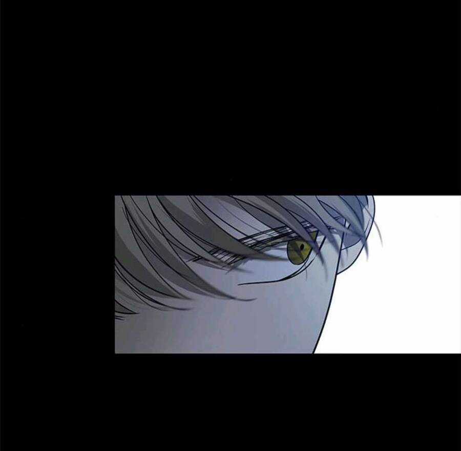 Cạm Bẫy - Chapter 169 - Trang 53