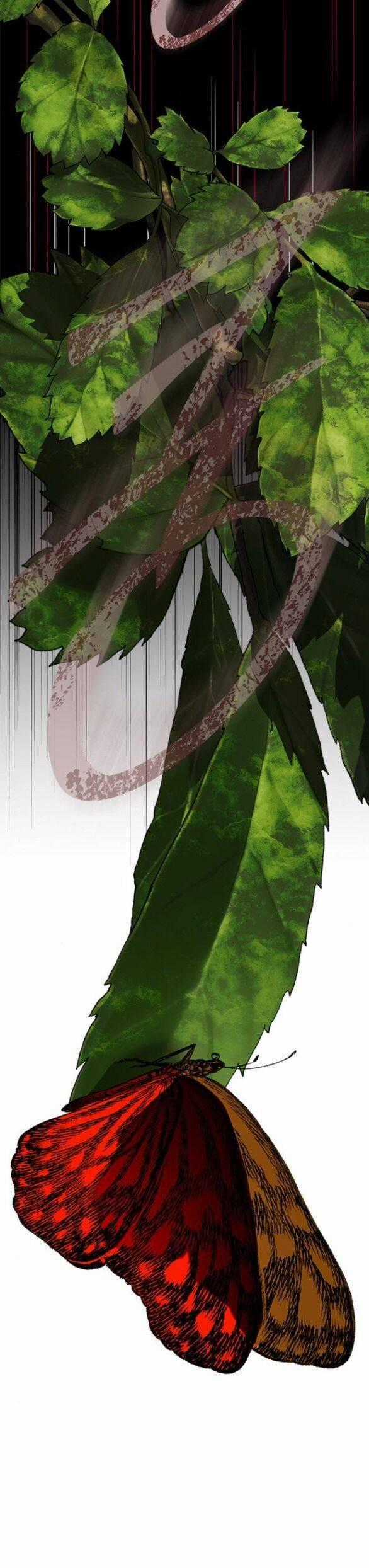 Cạm Bẫy - Chapter 178.1 - Trang 48