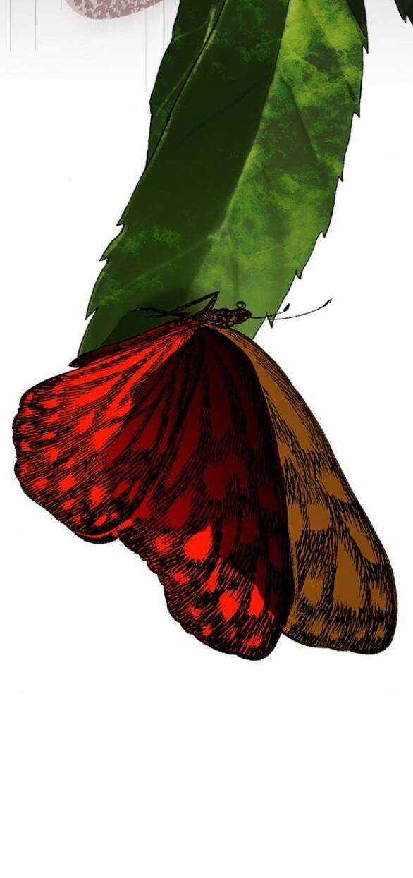 Cạm Bẫy - Chapter 178 - Trang 52